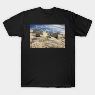 Grass tails among the granite T-Shirt